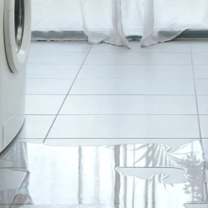 Appliance Leak Cleanup in Katy, TX