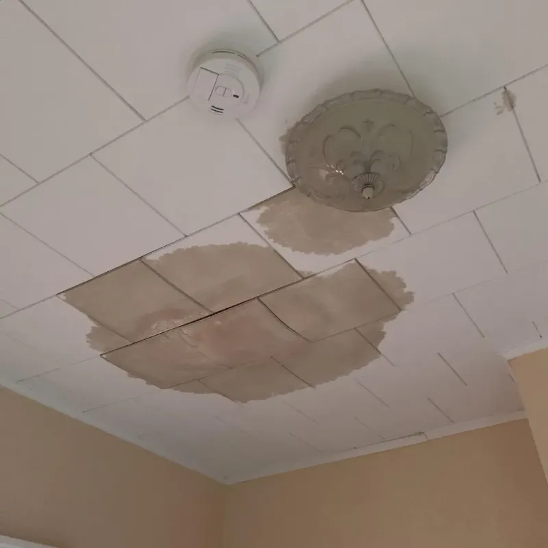 Ceiling Water Damage Repair in Katy, TX
